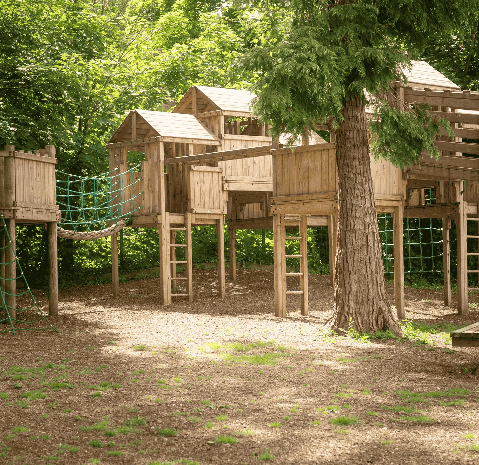 Trade programme image